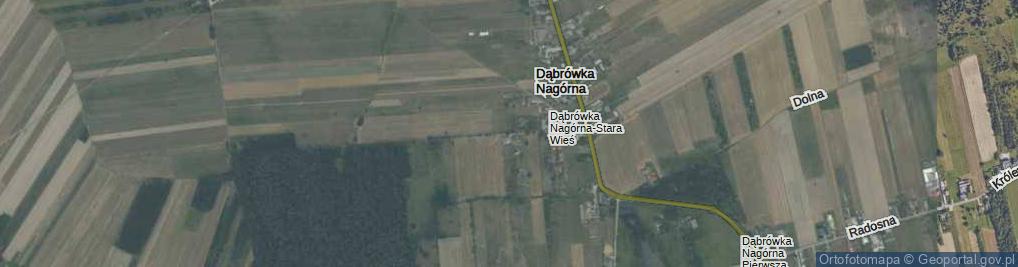 Zdjęcie satelitarne Sosnowa ul.